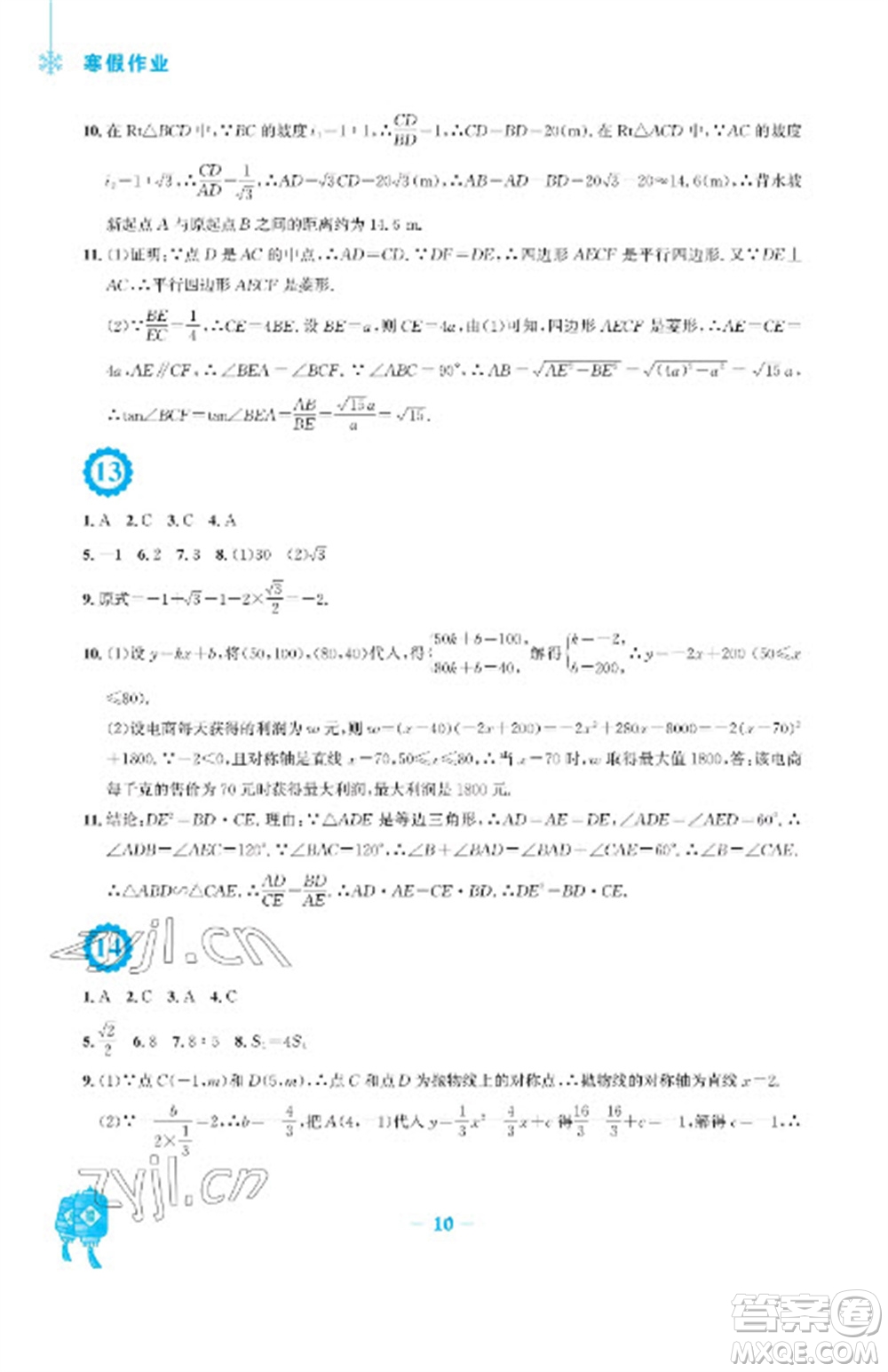 安徽教育出版社2023寒假作業(yè)九年級數(shù)學通用版參考答案
