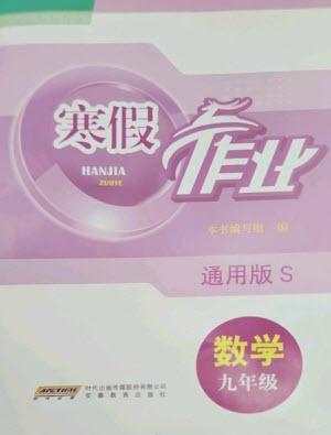 安徽教育出版社2023寒假作業(yè)九年級數(shù)學通用版參考答案