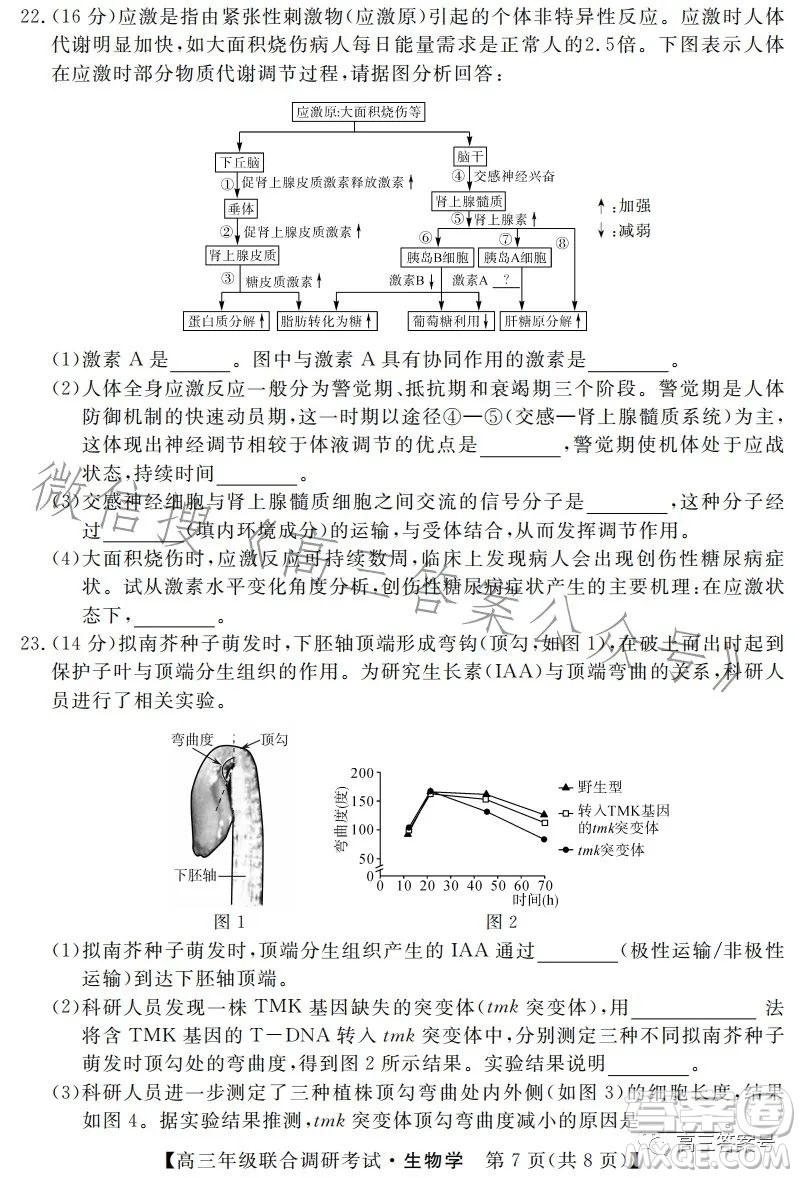 湖北省部分市州2023年元月高三年級(jí)聯(lián)合調(diào)研考試生物試卷答案