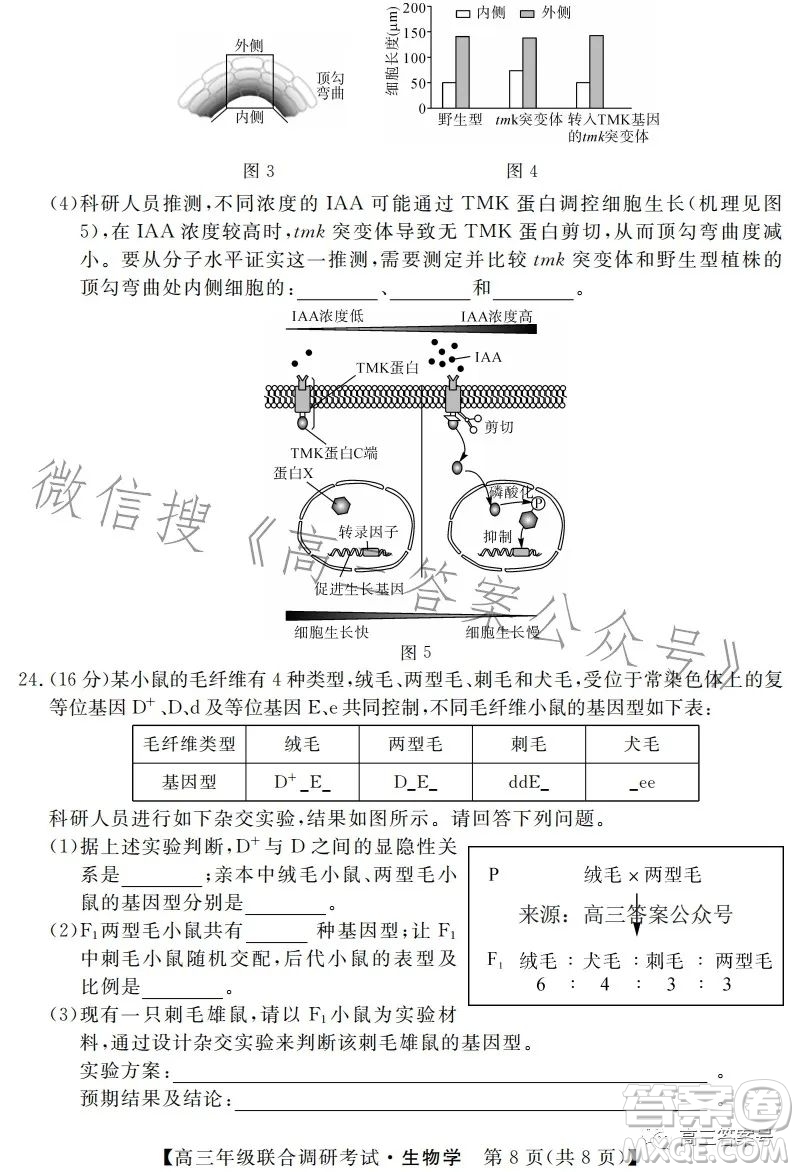 湖北省部分市州2023年元月高三年級(jí)聯(lián)合調(diào)研考試生物試卷答案