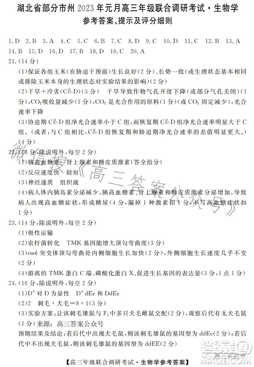 湖北省部分市州2023年元月高三年級(jí)聯(lián)合調(diào)研考試生物試卷答案