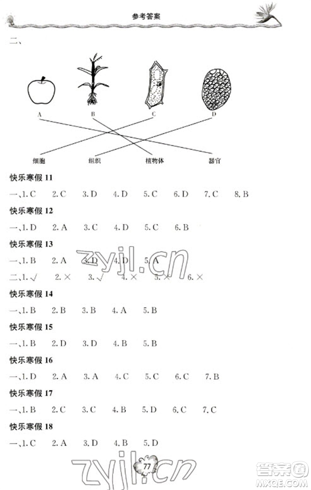 北京教育出版社2023新課堂寒假生活七年級生物人教版參考答案