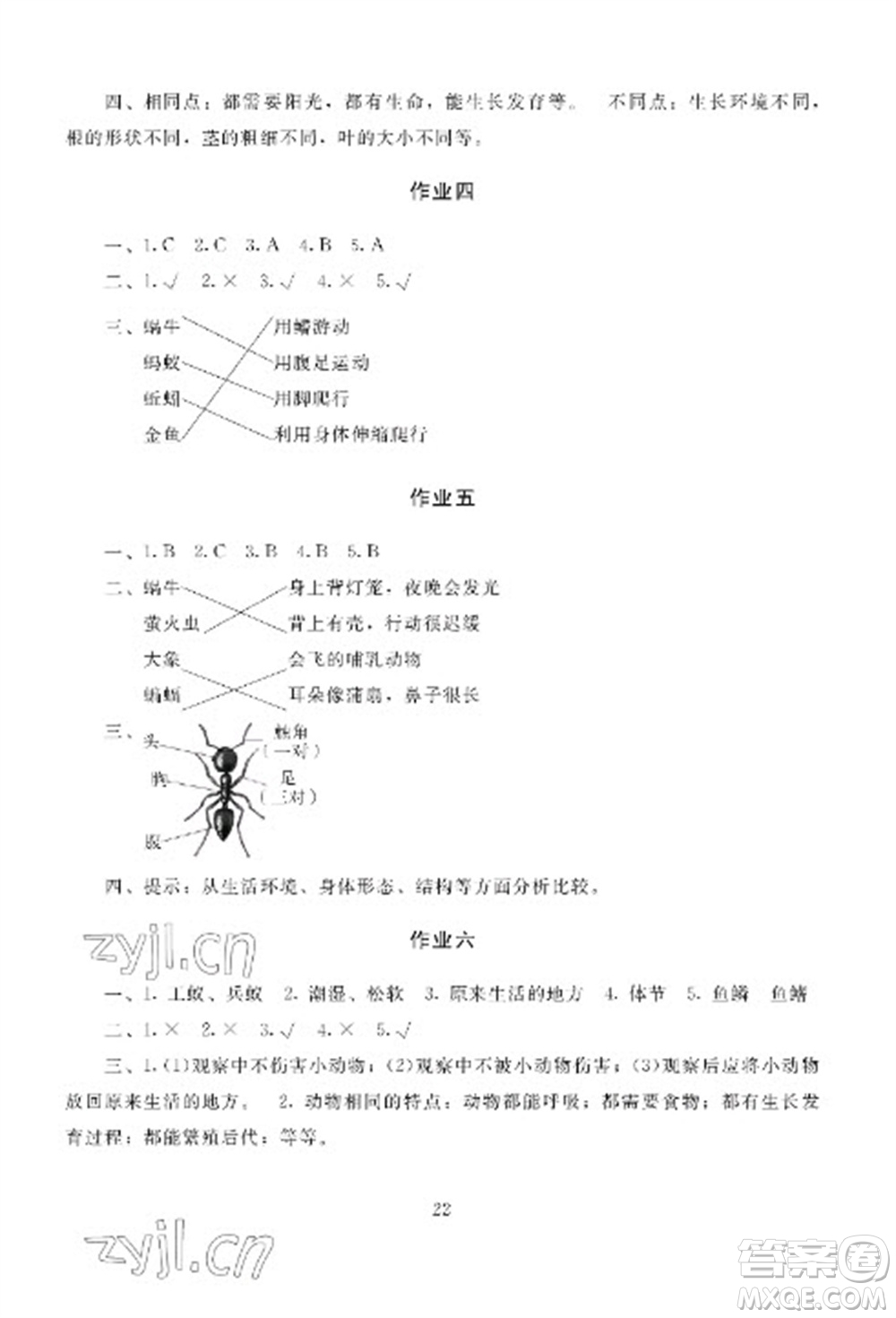 湖南少年兒童出版社2023寒假生活三年級合訂本通用版參考答案