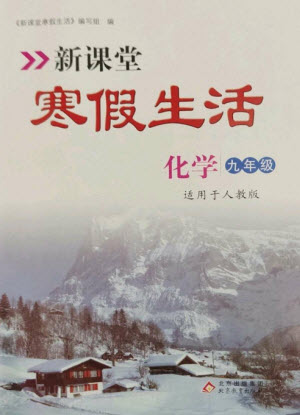 北京教育出版社2023新課堂寒假生活九年級化學(xué)人教版參考答案