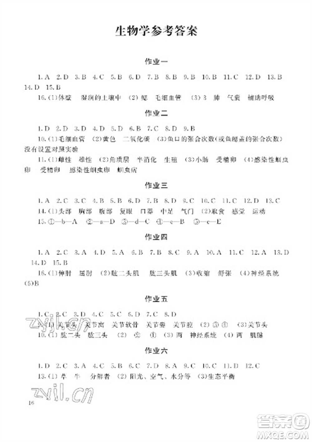 湖南少年兒童出版社2023寒假生活八年級副科合訂本通用版參考答案