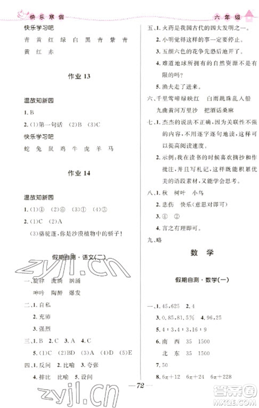 河北少年兒童出版社2023贏在起跑線快樂寒假六年級合訂本通用版福建專版參考答案