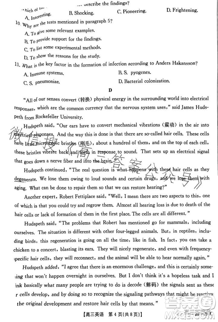 2023屆河南金太陽高三期末聯(lián)考23294C英語試卷答案