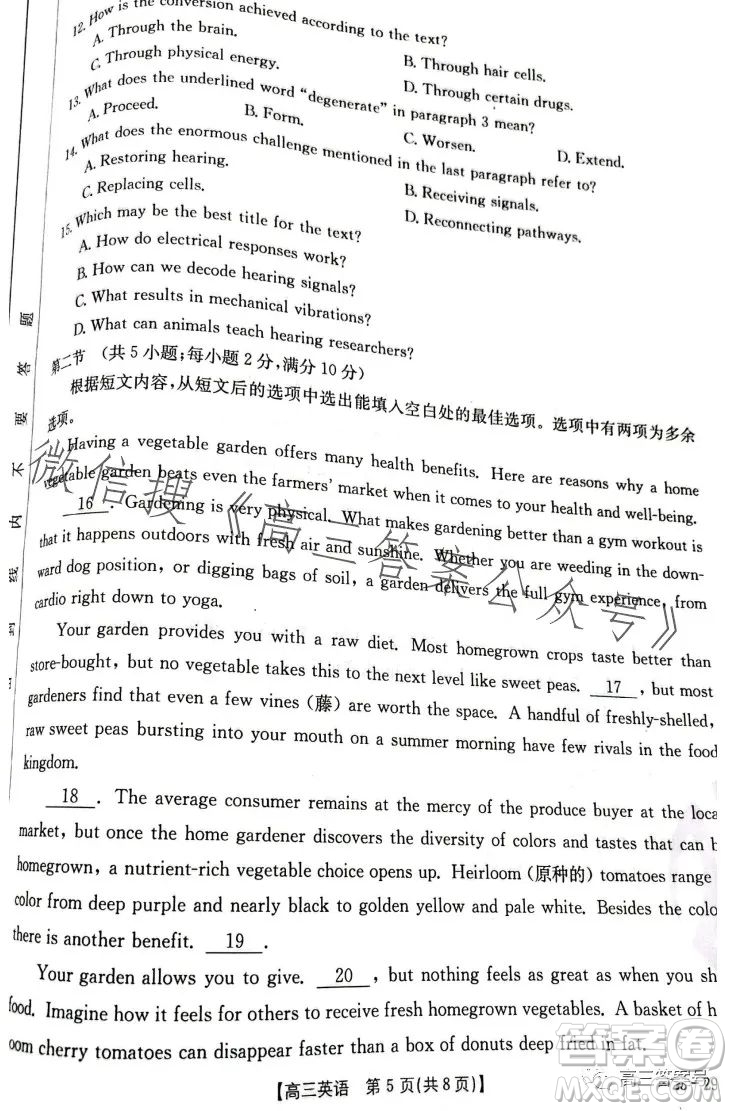 2023屆河南金太陽高三期末聯(lián)考23294C英語試卷答案
