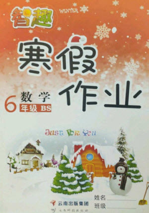 云南科技出版社2023智趣寒假作業(yè)六年級數(shù)學北師大版參考答案