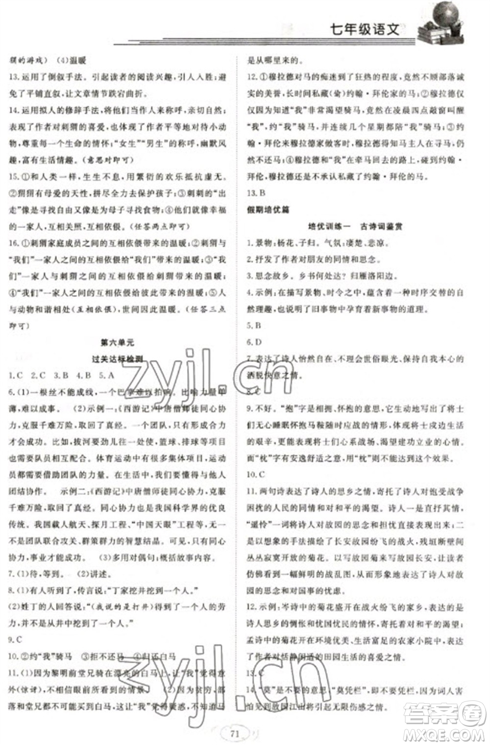 合肥工業(yè)大學(xué)出版社2023假期伴你行寒假?gòu)?fù)習(xí)計(jì)劃七年級(jí)語(yǔ)文通用版參考答案
