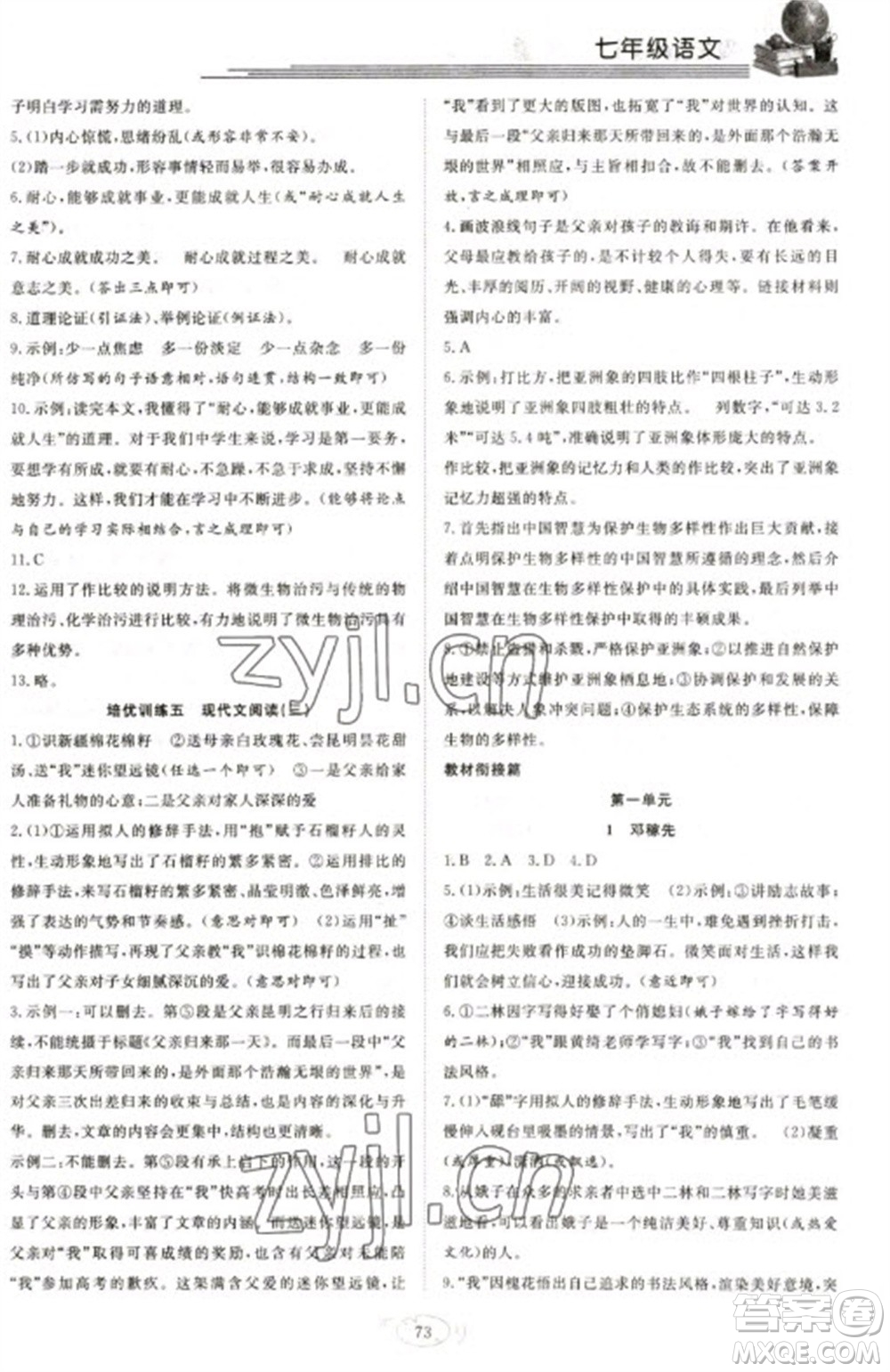 合肥工業(yè)大學(xué)出版社2023假期伴你行寒假?gòu)?fù)習(xí)計(jì)劃七年級(jí)語(yǔ)文通用版參考答案