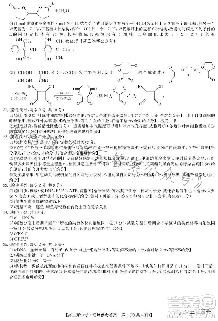 2023年九師聯(lián)盟高三開學考新高考理科綜合答案