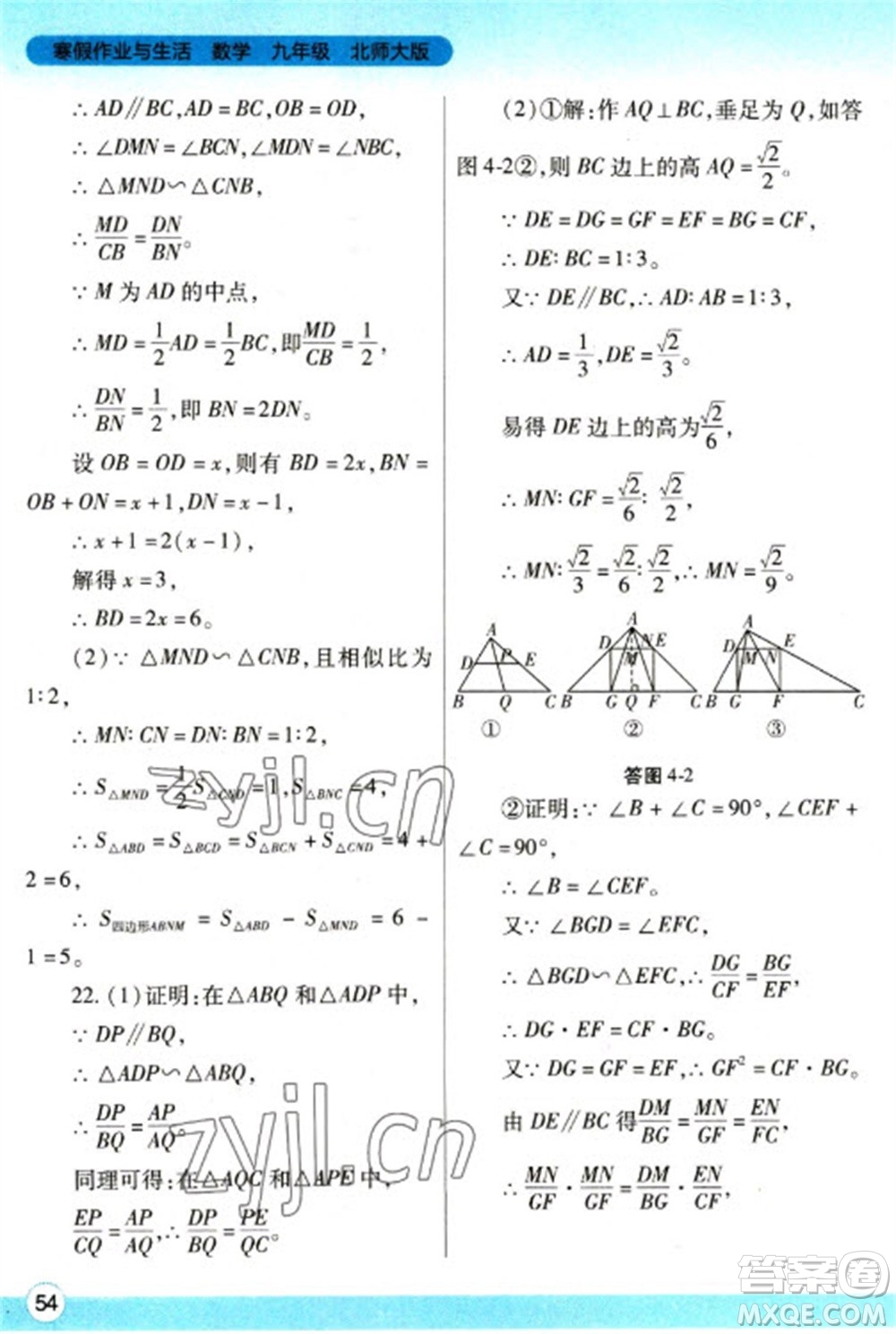 陜西師范大學(xué)出版總社2023寒假作業(yè)與生活九年級數(shù)學(xué)北師大版參考答案