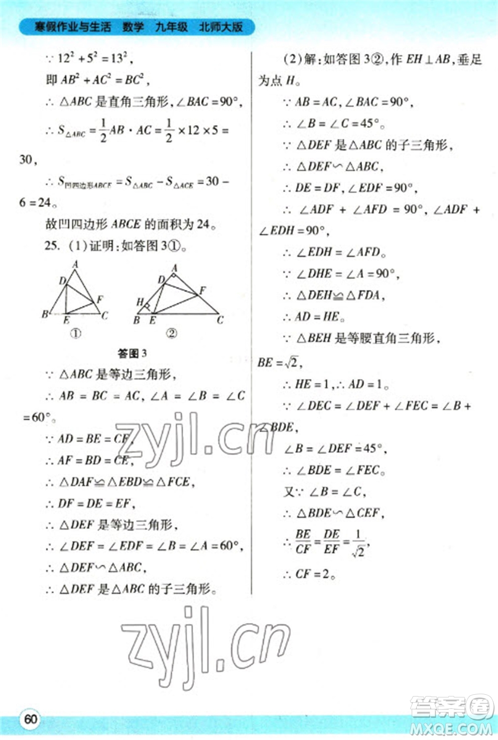 陜西師范大學(xué)出版總社2023寒假作業(yè)與生活九年級數(shù)學(xué)北師大版參考答案