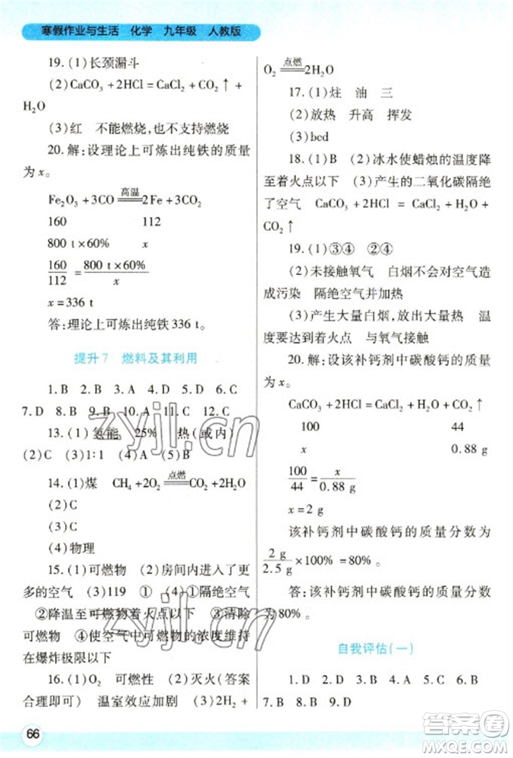陜西師范大學(xué)出版總社2023寒假作業(yè)與生活九年級化學(xué)人教版參考答案