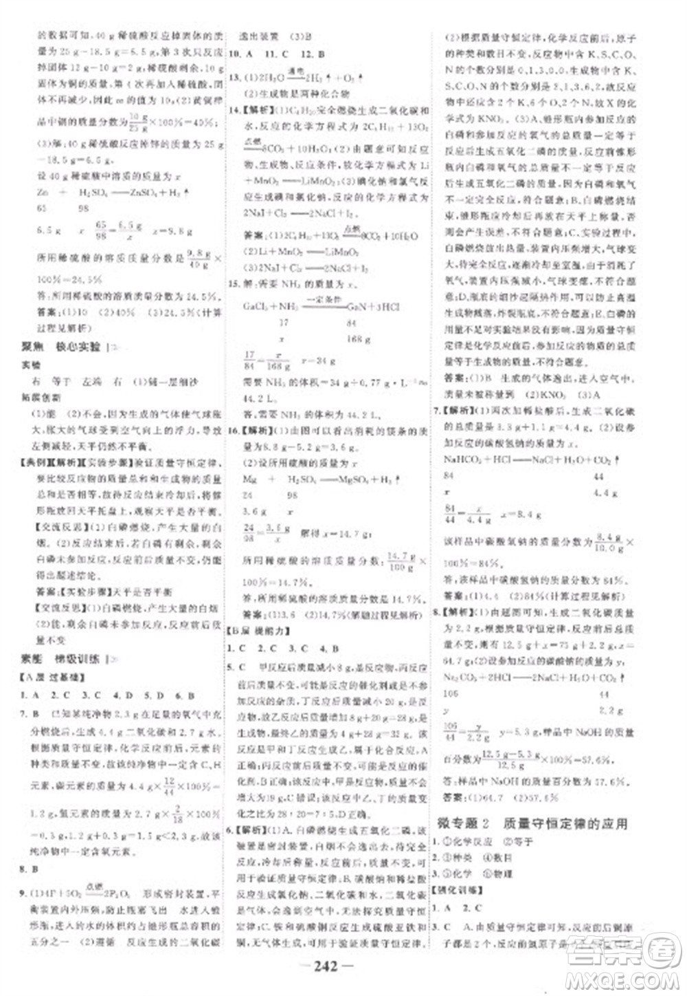 未來出版社2023世紀(jì)金榜初中全程復(fù)習(xí)方略九年級化學(xué)人教版參考答案