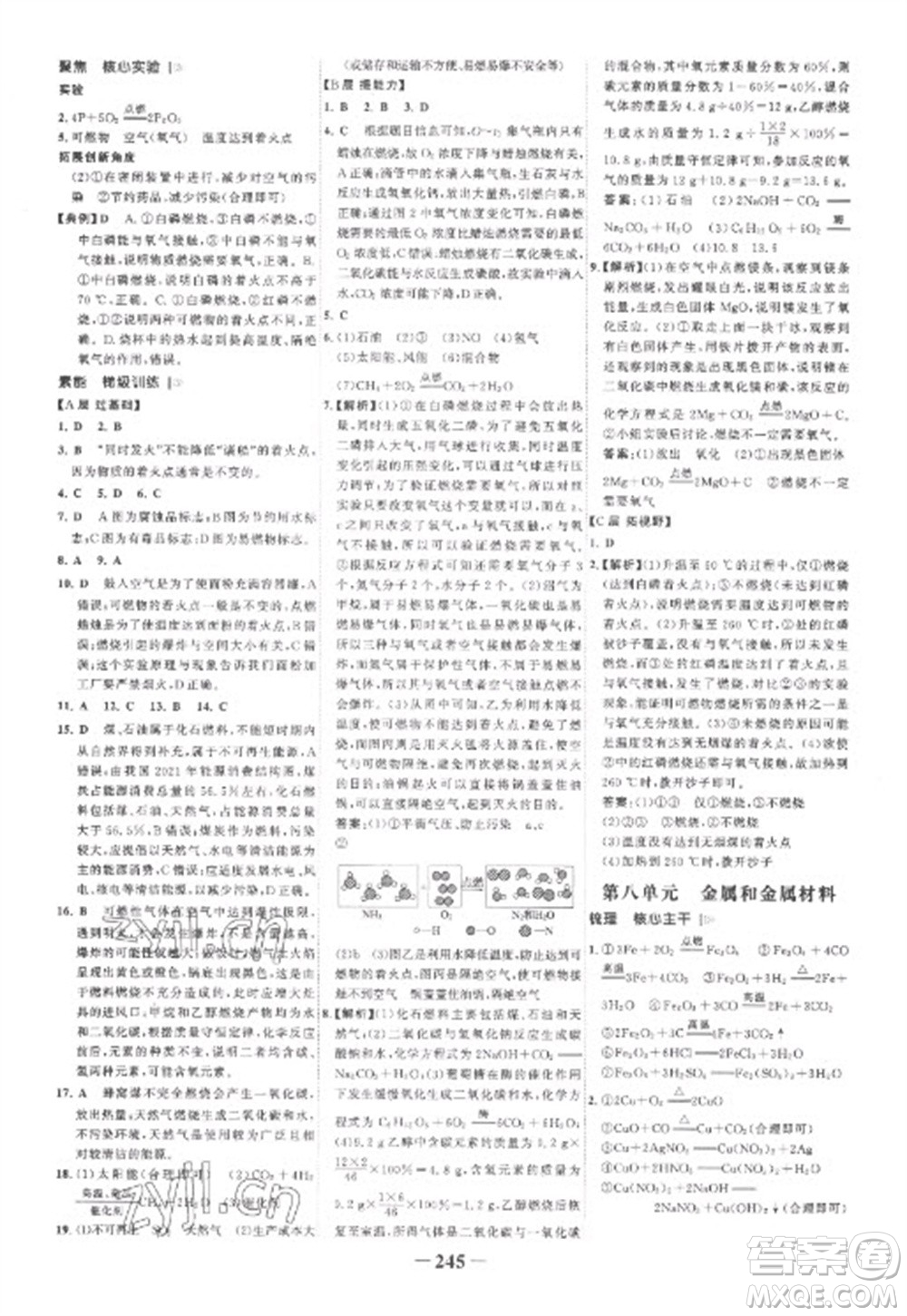 未來出版社2023世紀(jì)金榜初中全程復(fù)習(xí)方略九年級化學(xué)人教版參考答案
