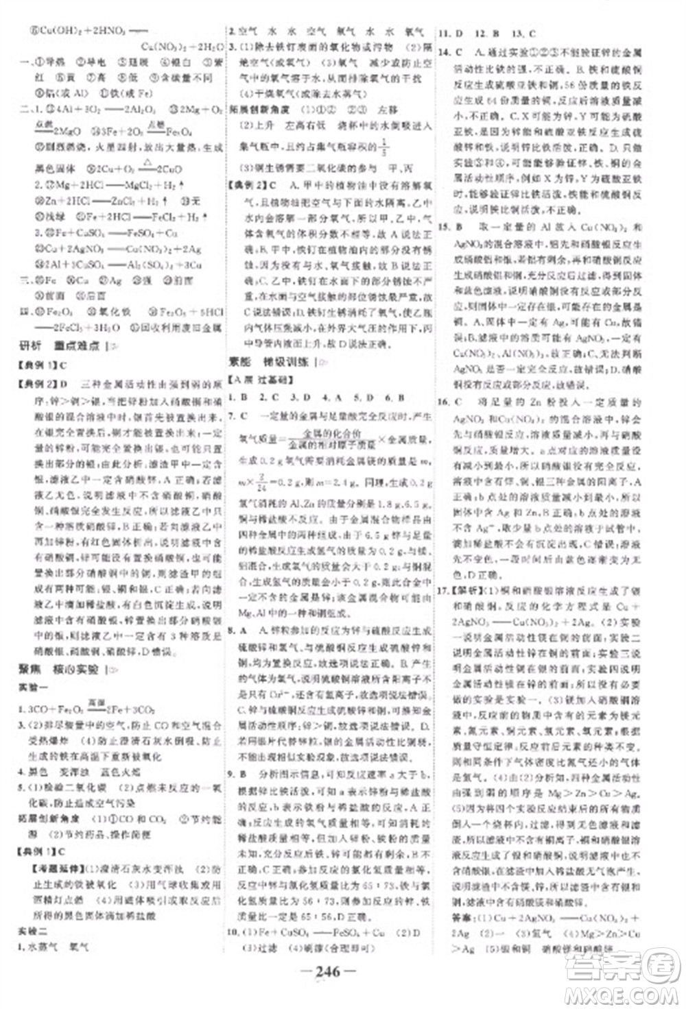 未來出版社2023世紀(jì)金榜初中全程復(fù)習(xí)方略九年級化學(xué)人教版參考答案