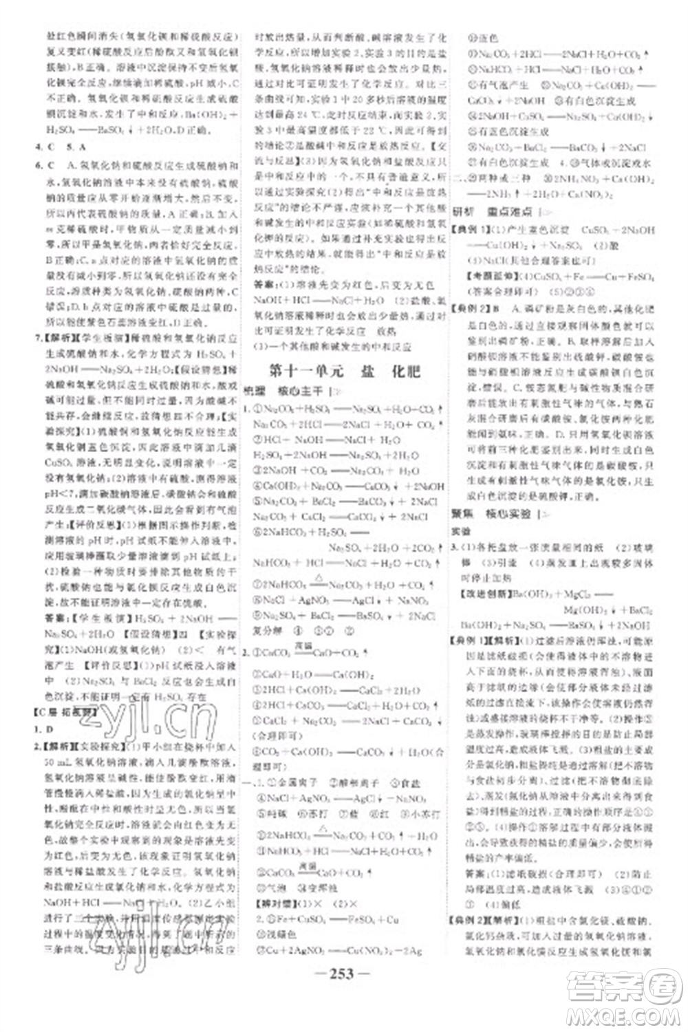 未來出版社2023世紀(jì)金榜初中全程復(fù)習(xí)方略九年級化學(xué)人教版參考答案