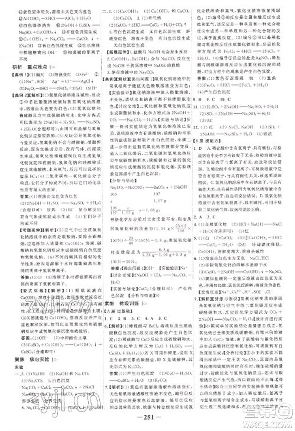未來出版社2023世紀(jì)金榜初中全程復(fù)習(xí)方略九年級化學(xué)人教版參考答案