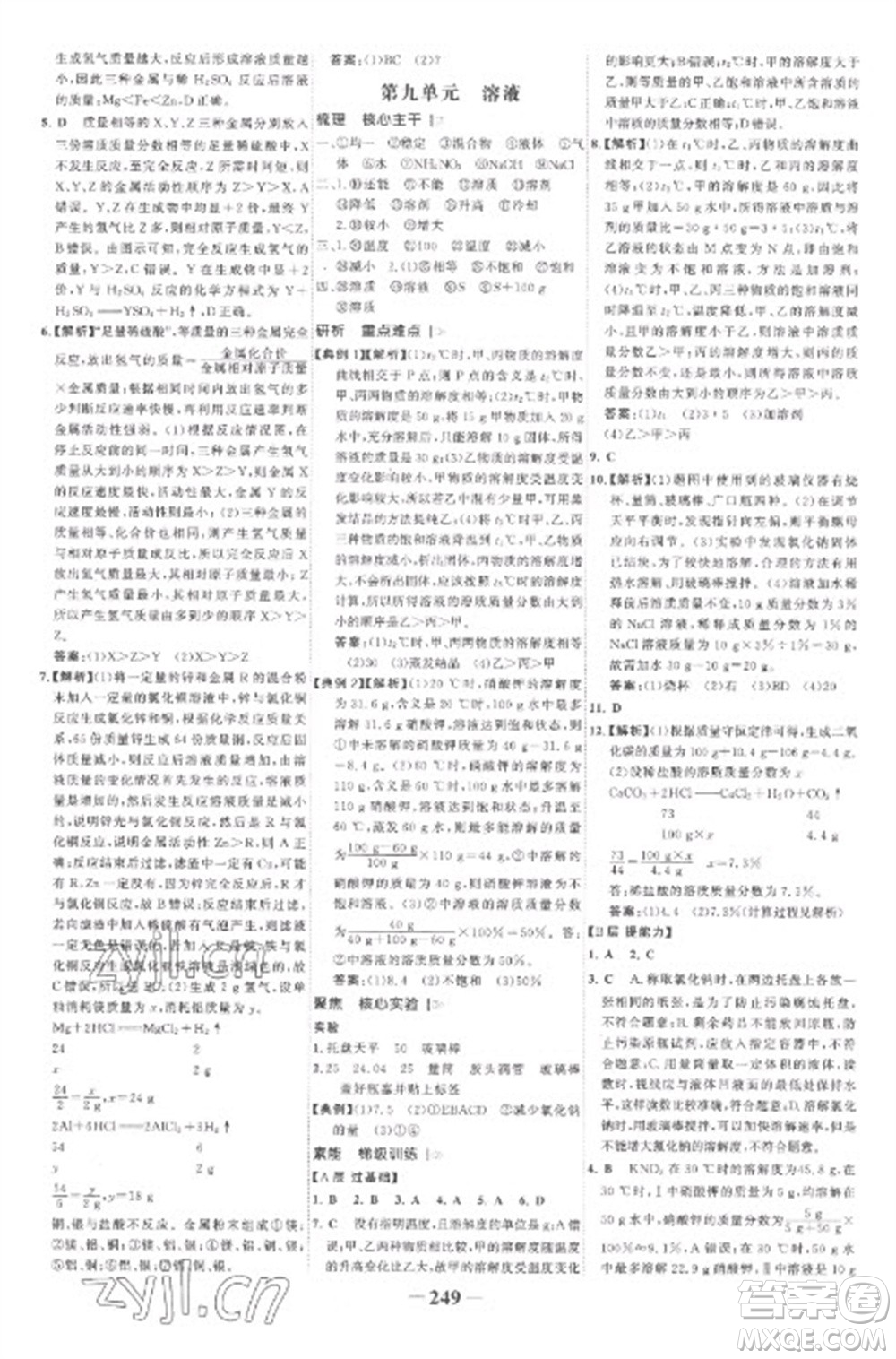 未來出版社2023世紀(jì)金榜初中全程復(fù)習(xí)方略九年級化學(xué)人教版參考答案