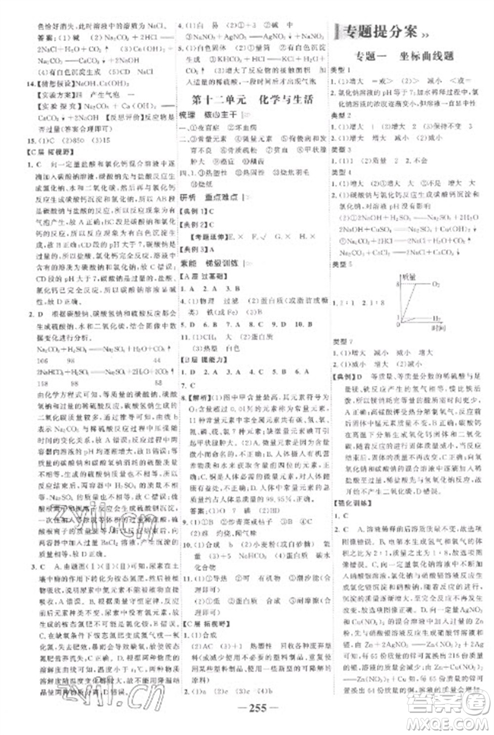 未來出版社2023世紀(jì)金榜初中全程復(fù)習(xí)方略九年級化學(xué)人教版參考答案