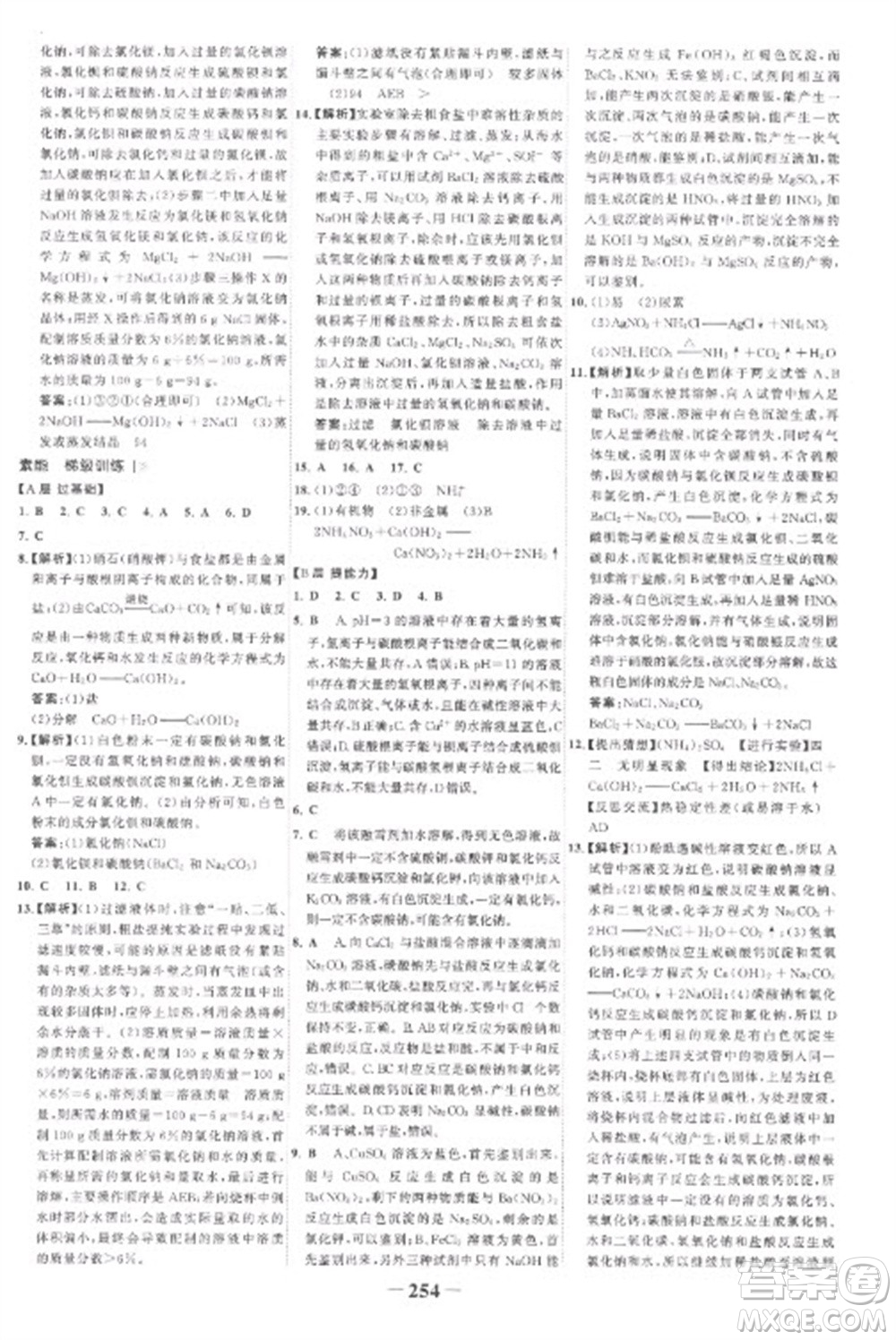 未來出版社2023世紀(jì)金榜初中全程復(fù)習(xí)方略九年級化學(xué)人教版參考答案