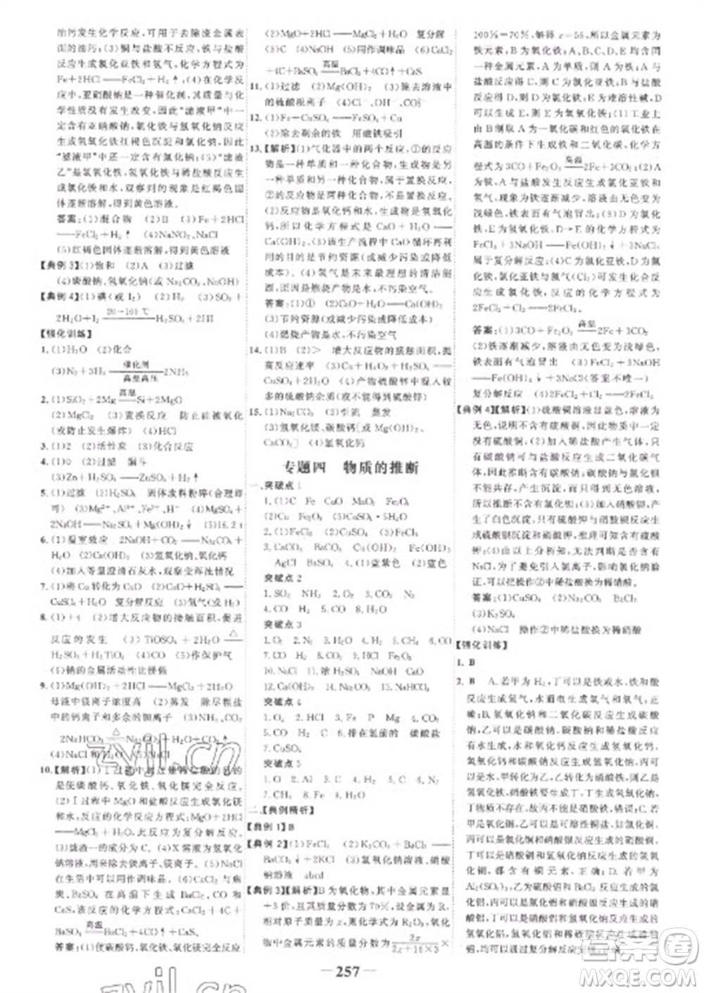 未來出版社2023世紀(jì)金榜初中全程復(fù)習(xí)方略九年級化學(xué)人教版參考答案