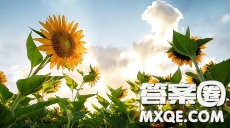 尋找光的模樣作文600字 關(guān)于尋找光的模樣的作文600字