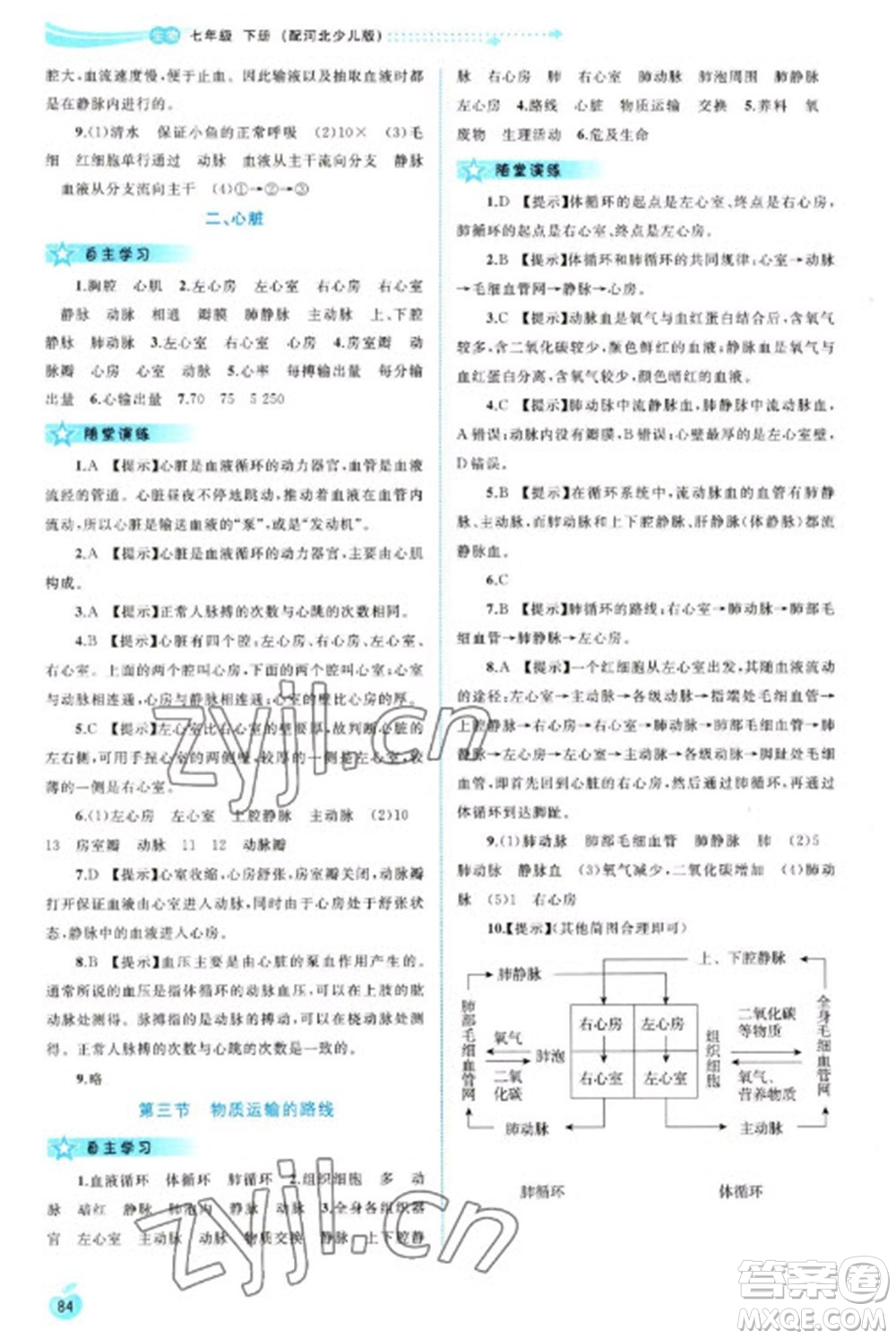 廣西教育出版社2023新課程學(xué)習(xí)與測評(píng)同步學(xué)習(xí)七年級(jí)下冊(cè)生物冀少版參考答案