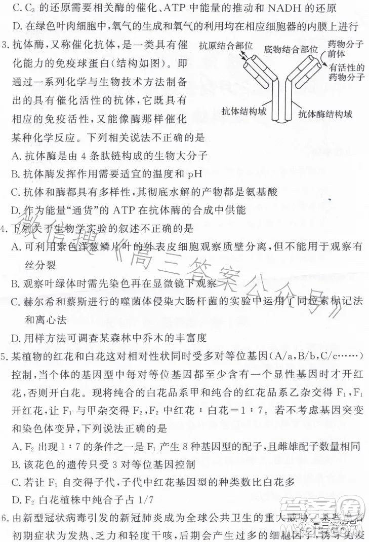 湘豫名校聯(lián)考2023年2月高三春季入學(xué)摸底考試理科綜合試卷答案