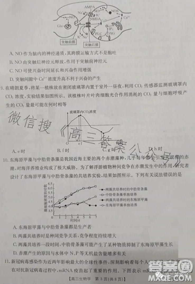 2023湖南金太陽聯(lián)考23273C高三生物試卷答案