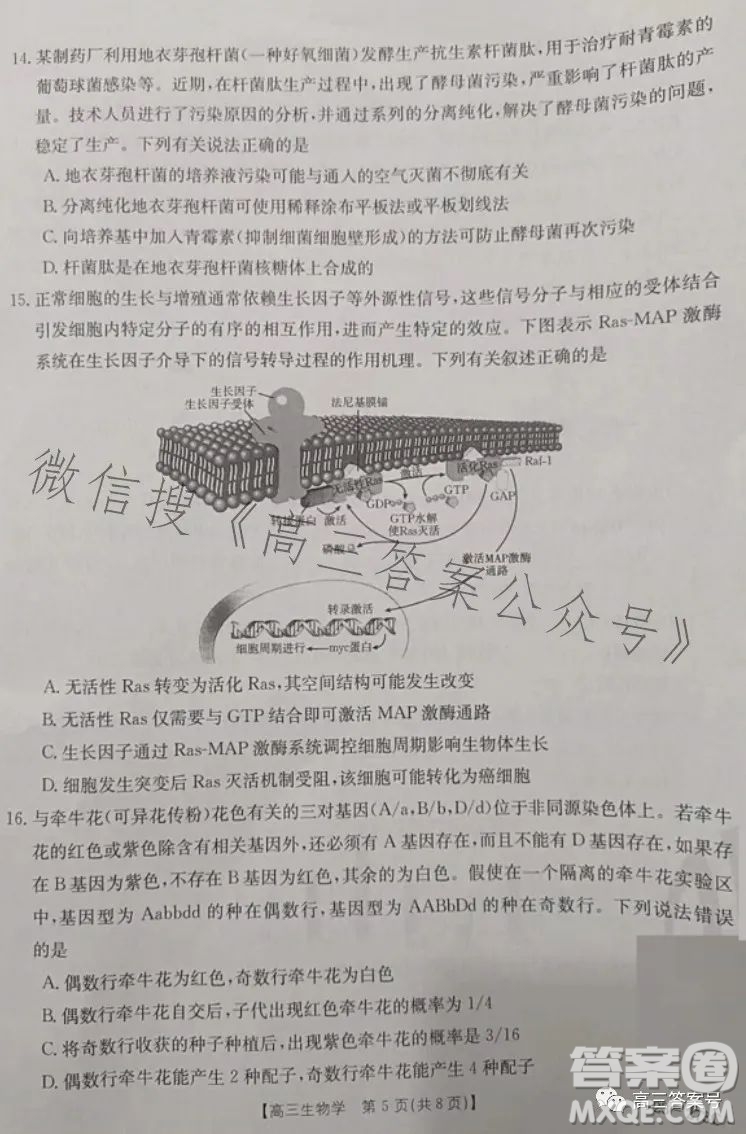 2023湖南金太陽聯(lián)考23273C高三生物試卷答案