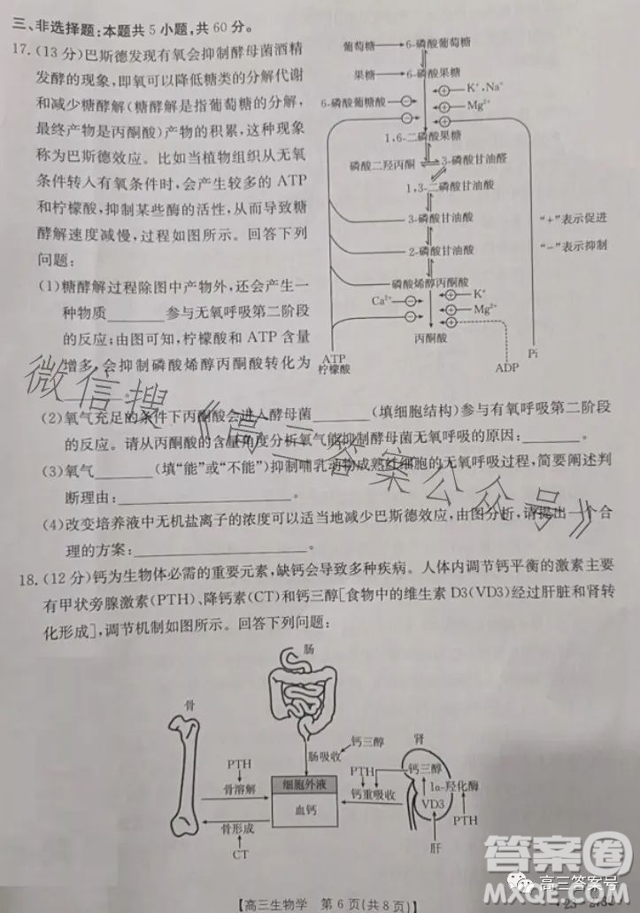 2023湖南金太陽聯(lián)考23273C高三生物試卷答案