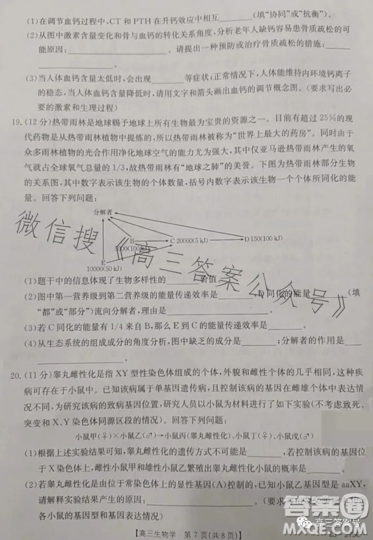 2023湖南金太陽聯(lián)考23273C高三生物試卷答案