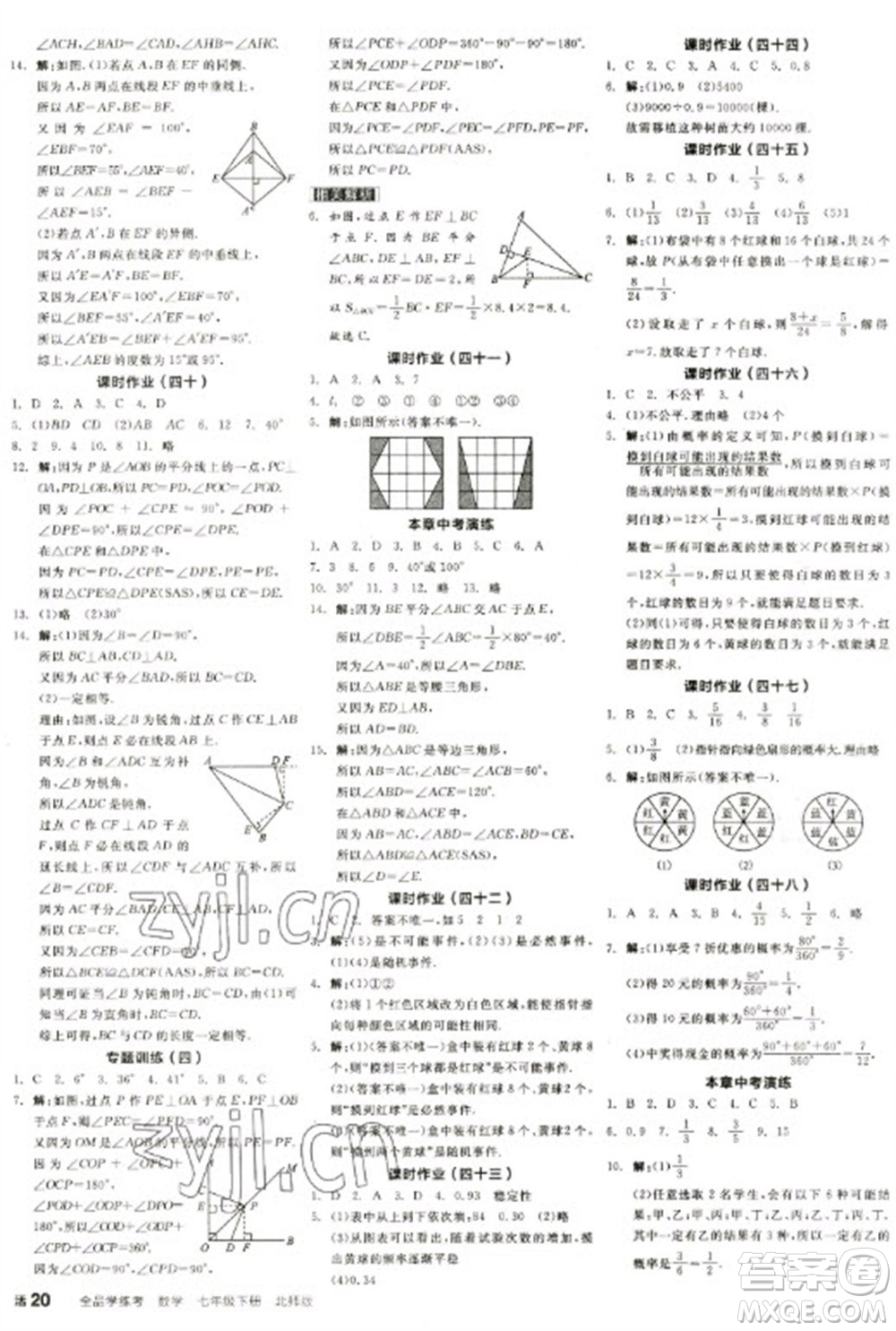 天津人民出版社2023全品學(xué)練考七年級下冊數(shù)學(xué)北師大版江西專版參考答案