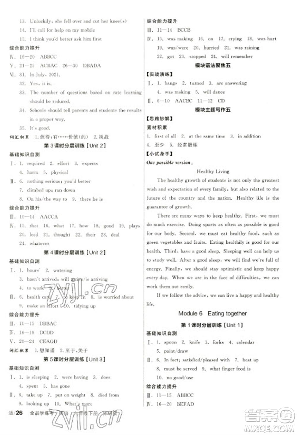 陽光出版社2023全品學(xué)練考九年級下冊英語外研版參考答案
