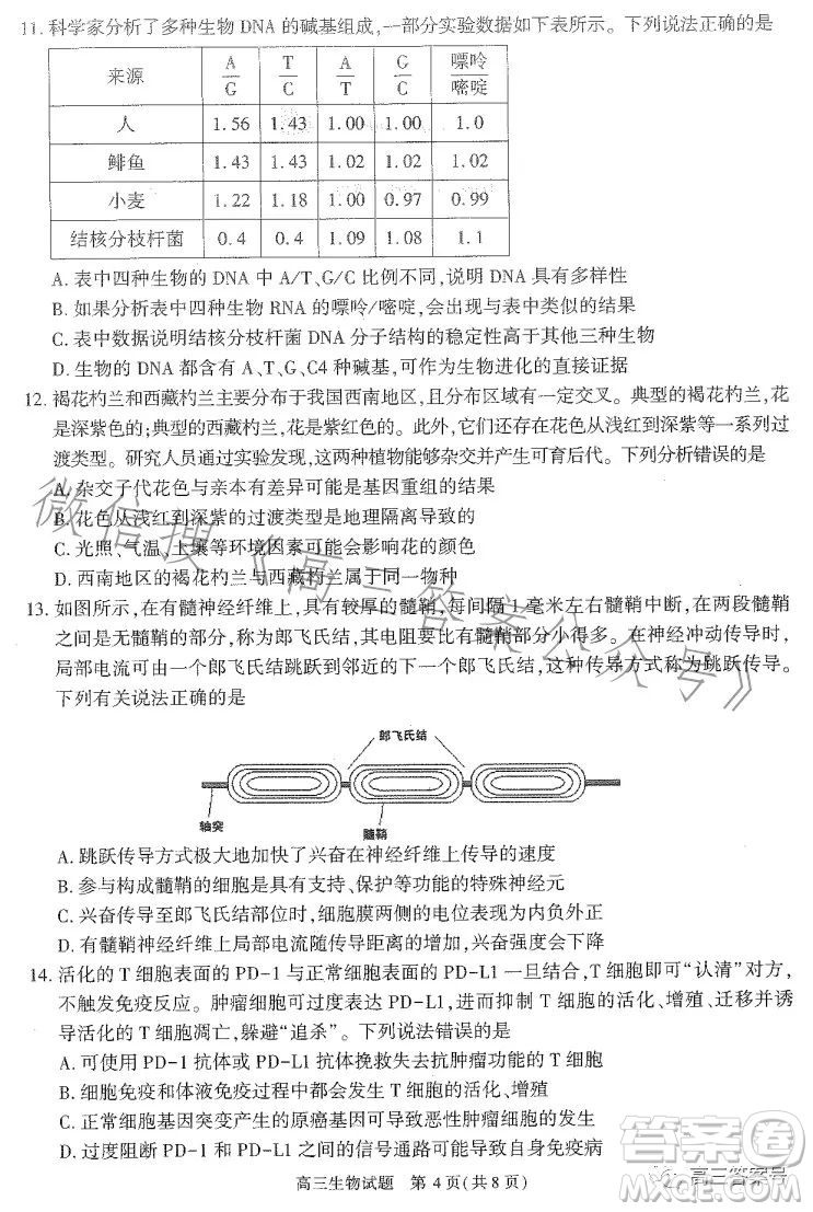 合肥市2023年高三第一次教學(xué)質(zhì)量檢測生物試卷答案