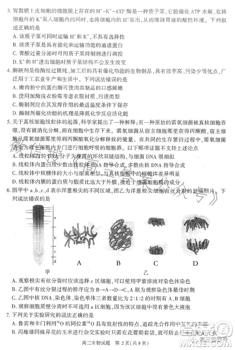 合肥市2023年高三第一次教學(xué)質(zhì)量檢測生物試卷答案
