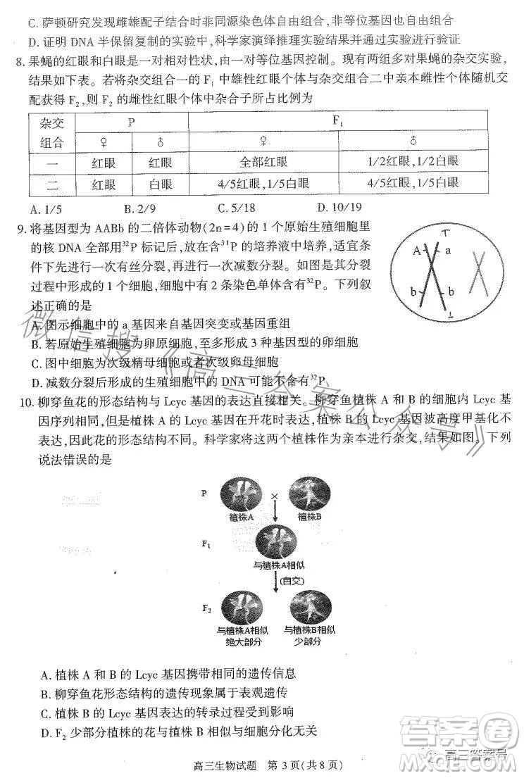 合肥市2023年高三第一次教學(xué)質(zhì)量檢測生物試卷答案