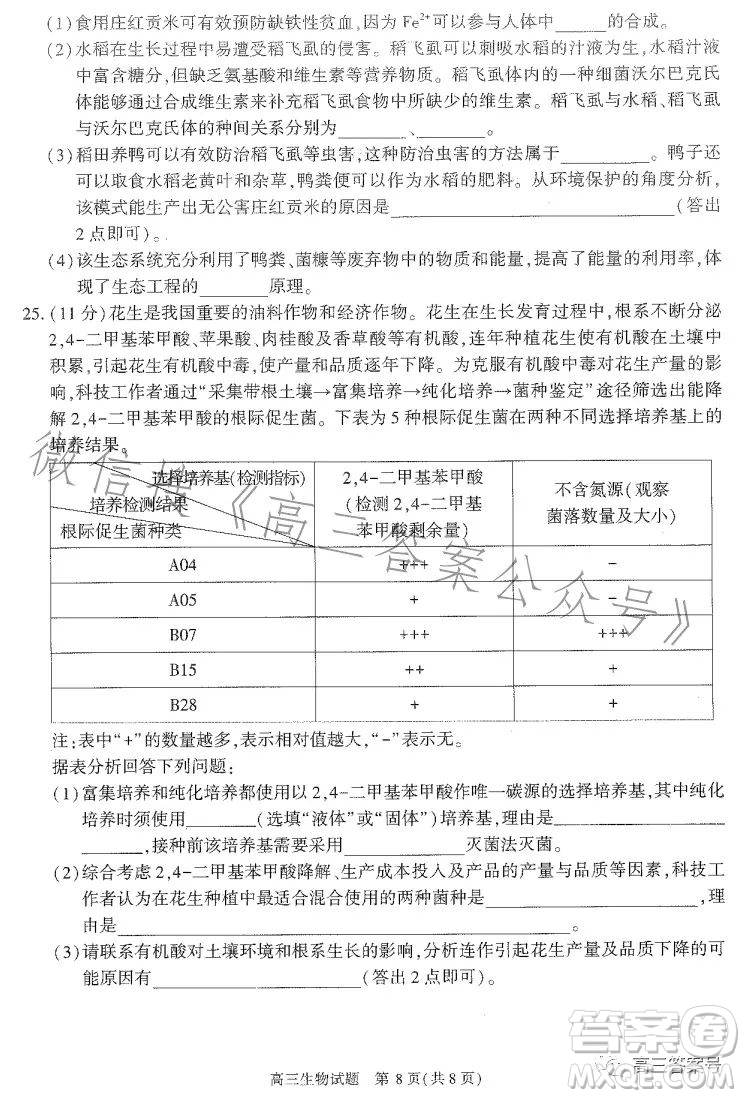 合肥市2023年高三第一次教學(xué)質(zhì)量檢測生物試卷答案