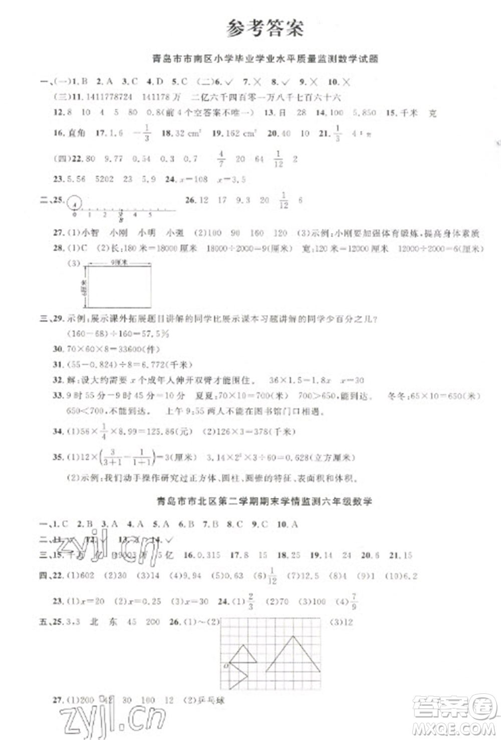 江西教育出版社2023陽光同學課時優(yōu)化作業(yè)六年級數學下冊青島版參考答案