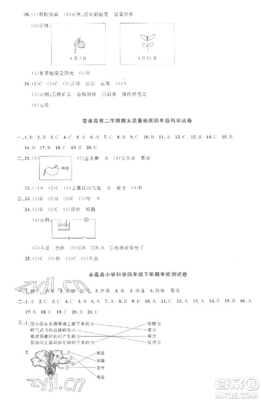 江西教育出版社2023陽光同學(xué)課時優(yōu)化作業(yè)四年級科學(xué)下冊教科版參考答案