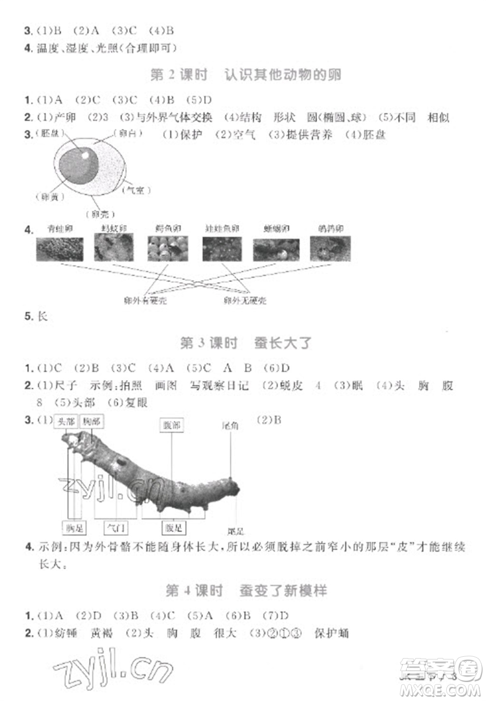江西教育出版社2023陽(yáng)光同學(xué)課時(shí)優(yōu)化作業(yè)三年級(jí)科學(xué)下冊(cè)教科版參考答案