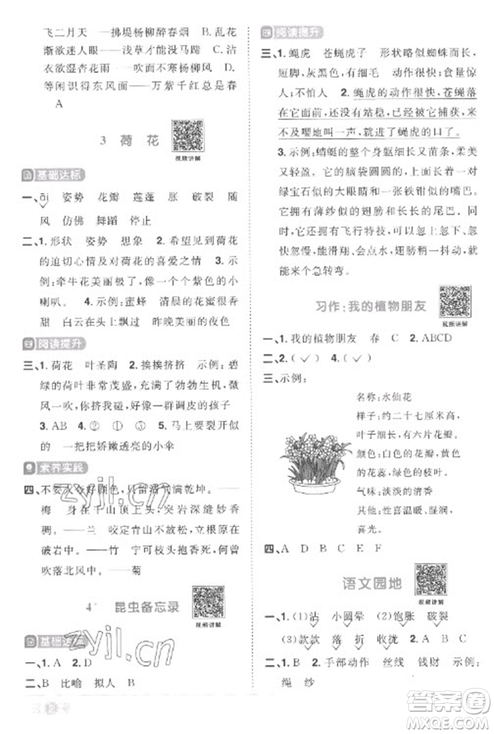 江西教育出版社2023陽(yáng)光同學(xué)課時(shí)優(yōu)化作業(yè)三年級(jí)語(yǔ)文下冊(cè)人教版菏澤專(zhuān)版參考答案