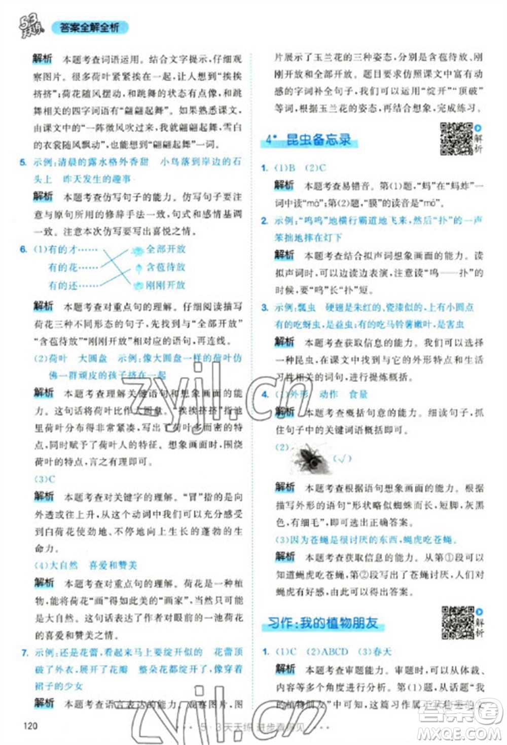 教育科學(xué)出版社2023春季53天天練三年級(jí)語(yǔ)文下冊(cè)人教版參考答案