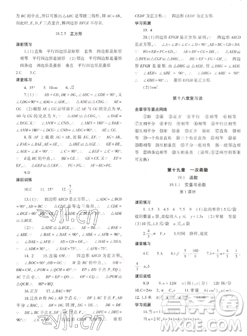 大象出版社2023初中同步練習(xí)冊八年級下冊數(shù)學(xué)人教版答案