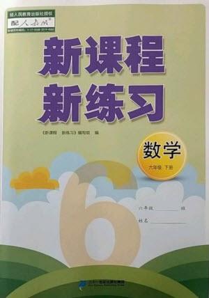 二十一世紀出版社2023新課程新練習(xí)六年級數(shù)學(xué)下冊人教版參考答案