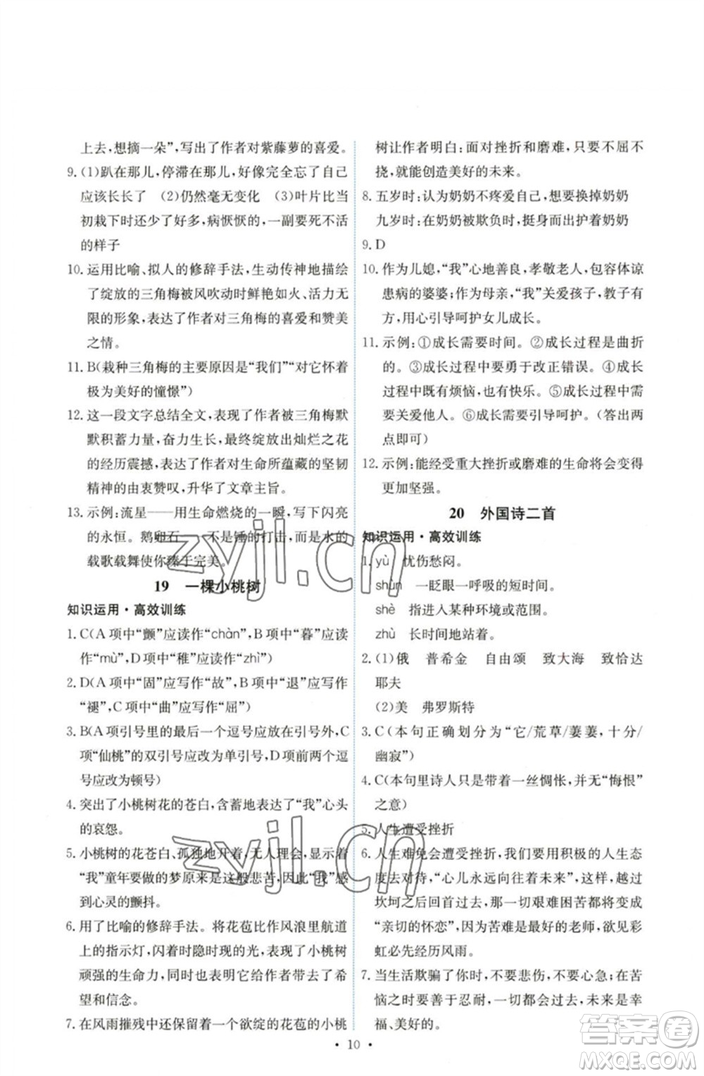 人民教育出版社2023能力培養(yǎng)與測(cè)試七年級(jí)語(yǔ)文下冊(cè)人教版湖南專版參考答案