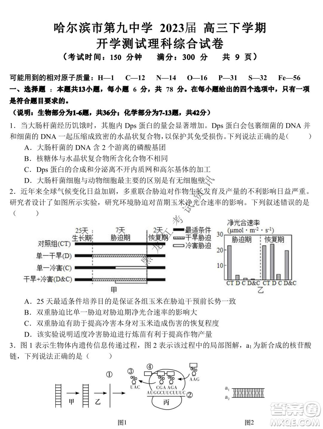 2023屆哈九中高三下學(xué)期開學(xué)考試?yán)砭C試題答案